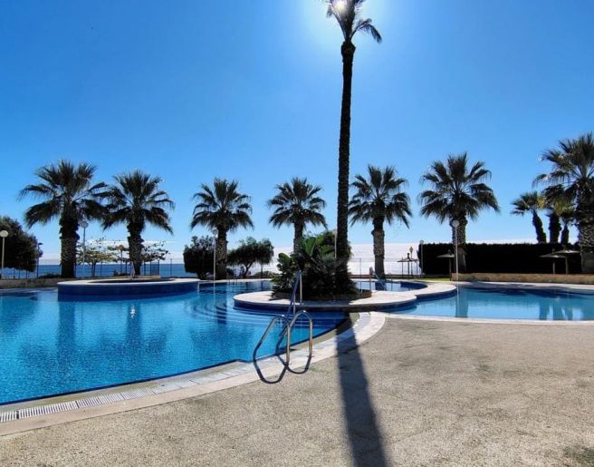 rent-072-antaal-life-32