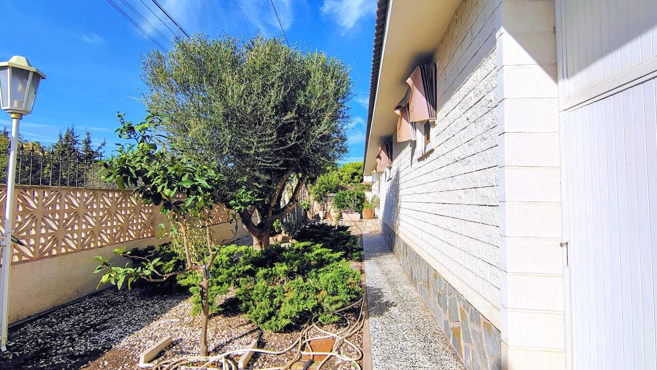 CAG-420-ANTAAL-LIFE-6