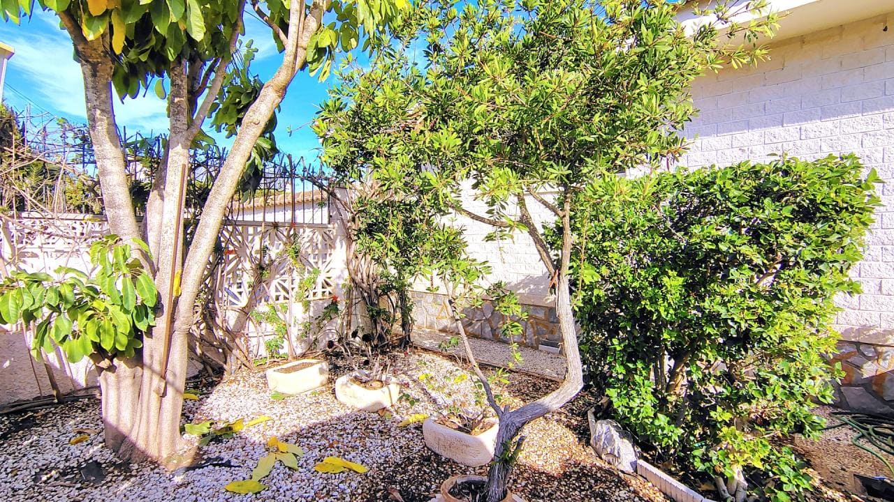 CAG-420-ANTAAL-LIFE-8