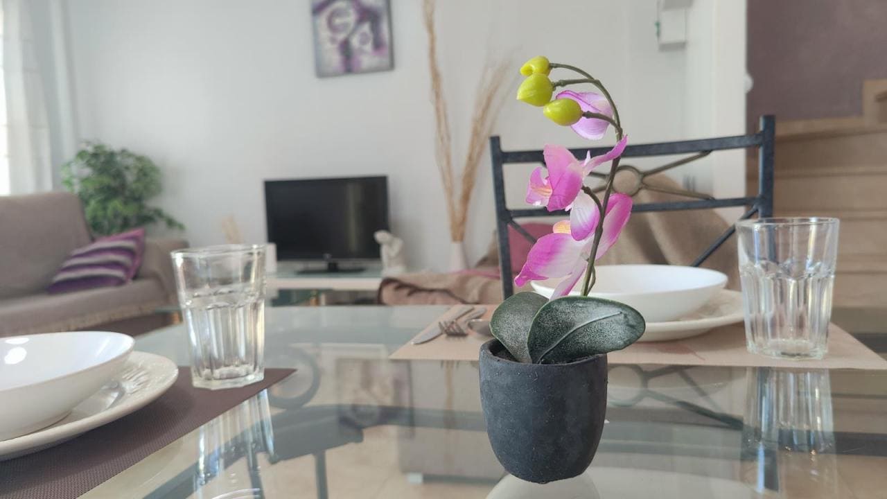 rent-031-antaal-life-11