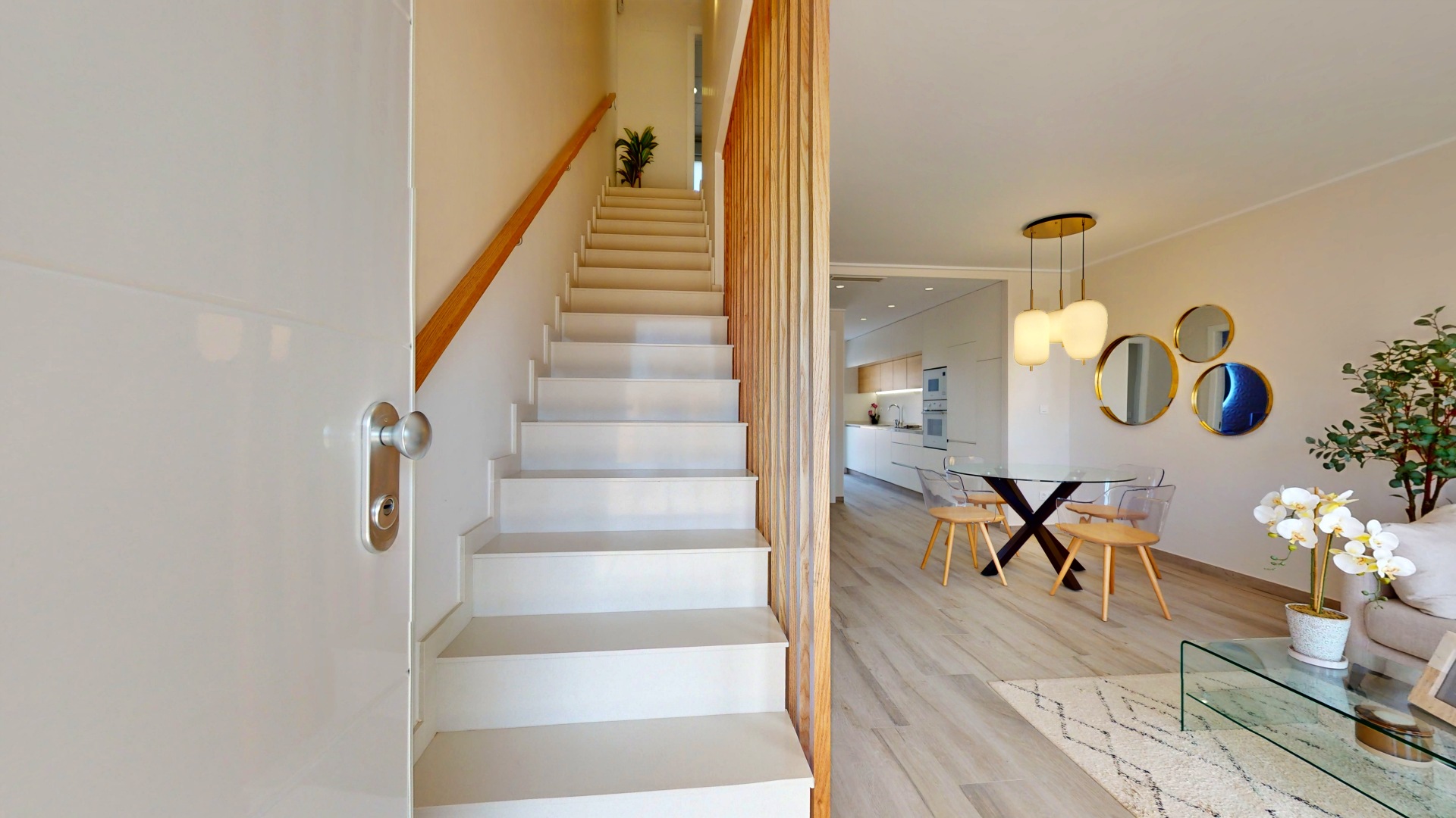 Antaal-Life-Pilar-de-la-Horadada-VIA-001-20