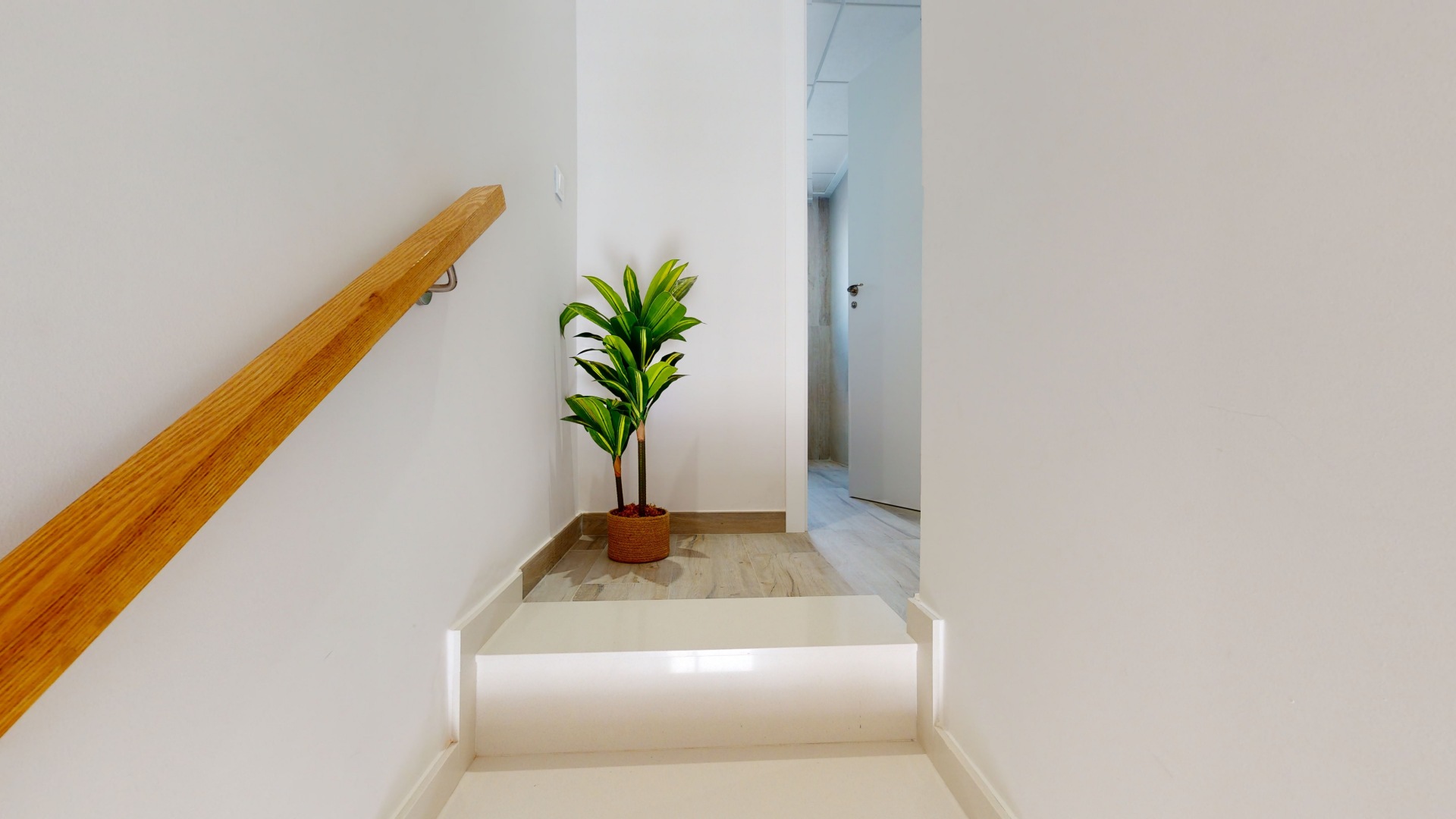 Antaal-Life-Pilar-de-la-Horadada-VIA-001-44