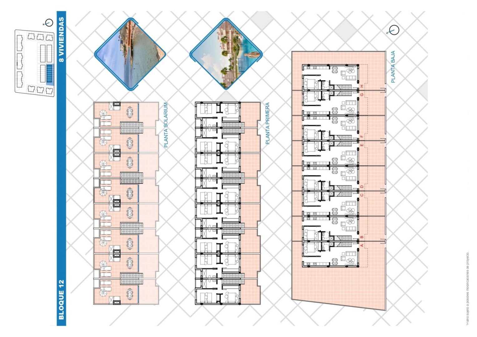 Antaal-Life-Pilar-de-la-Horadada-VIA-001-80
