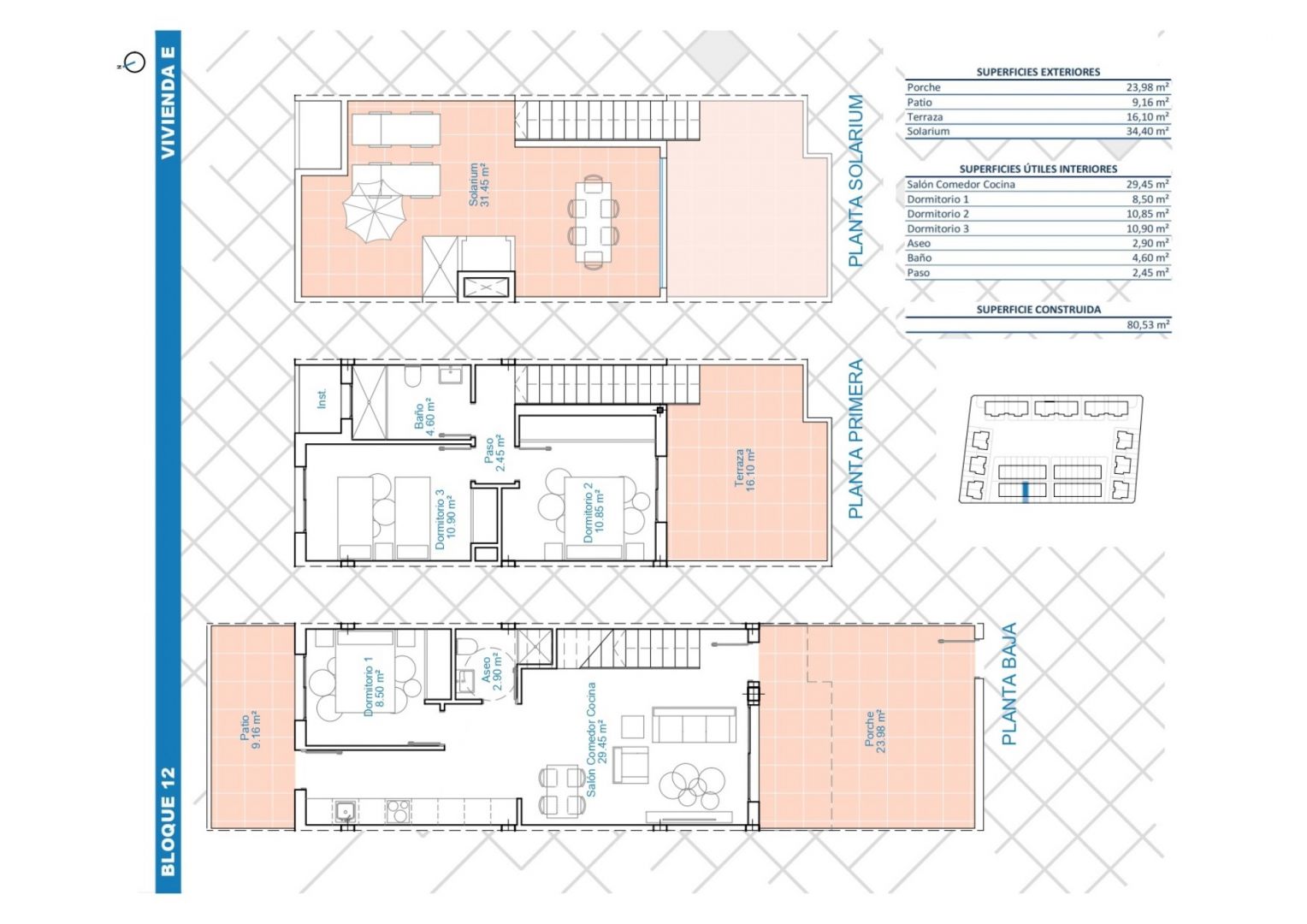 Antaal-Life-Pilar-de-la-Horadada-VIA-001-82