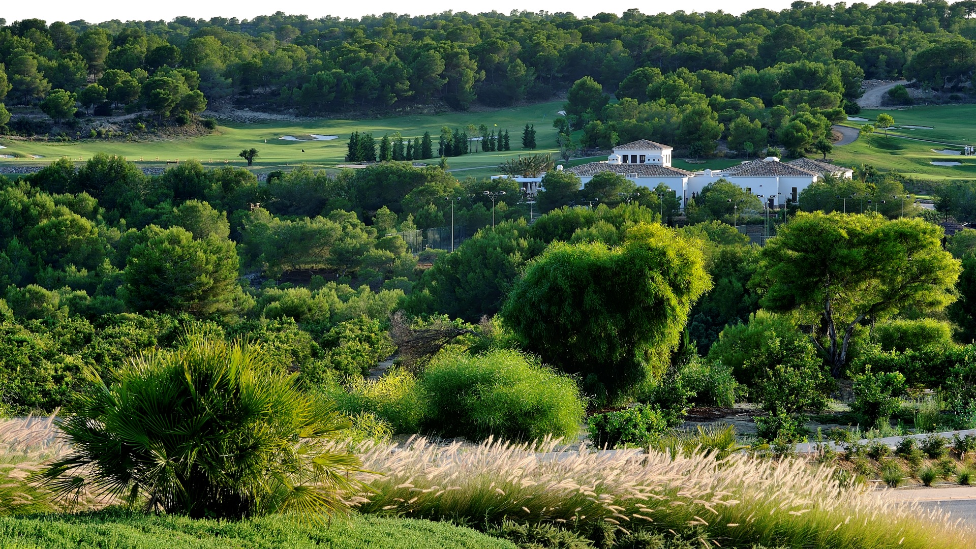 Las-Colinas-Golf-www.antaal-life.com-4-2