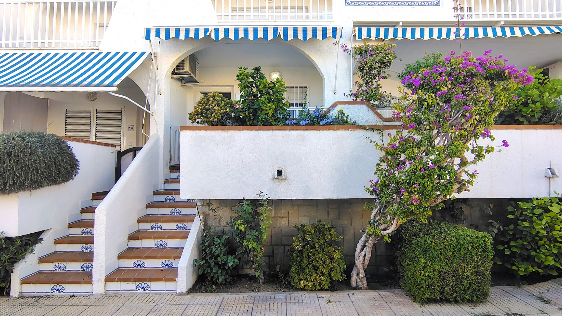 1000435281Antaal-Life_batch-2